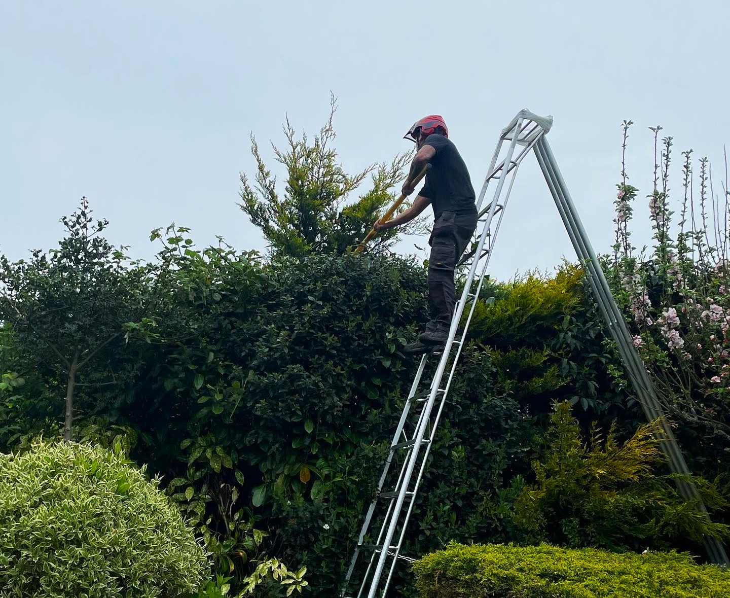 Garden & Grounds Maintenance